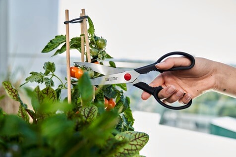 ZWILLING® Twin L Multi-purpose shears 41374-000-0/1005570 - Image 2